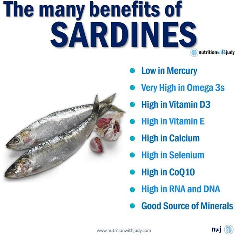 are sardines high in omega 3|omega 3 sardines benefits.